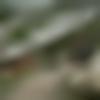 Rampur Male, photo - Gaurav