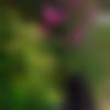 woman seeking men Dhanora near me photo - Mia