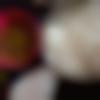 woman seeking men Ongole near me photo - Bhanu