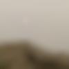 woman seeking men Ferozepur near me photo - Singh