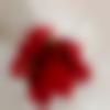 woman seeking men Manali near me photo - Shreetoma