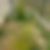Single Male - Naresh