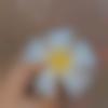 woman seeking men Bilaspur near me photo - Khushboo