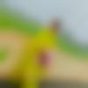 woman seeking men Bilaspur near me photo - Neha