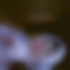 woman seeking men Jashpur Nagar near me photo - Alisha