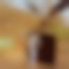 woman seeking men Tripura photo - Laxmi