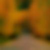 Male Photo - Samrat1985