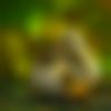 Female Photo - Latha