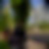Male Photo - Nanda