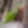woman seeking men Dhanaura near me photo - Jharen