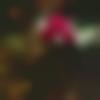 woman seeking men Chitradurga near me photo - Sweety