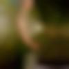 woman seeking men Kondagaon near me photo - Sona