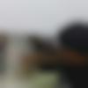 Male Photo - Shailesh