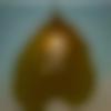 Male Photo - Aakash