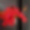 Single Male - Mac9090