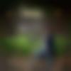 Single Male - Raj