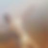 Talwandi Sabo Male Photo - Bhushan