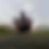 Gingee Male, photo - Aniket