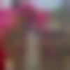 woman seeking men Chittorgarh near me photo - Tanishka