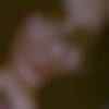 Single Female - Sneha