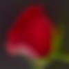 Male Photo - Daksh73