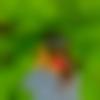 woman seeking men Nanded near me photo - Shweta
