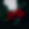 woman seeking men Ferozepur Jhirka near me photo - Shizuka