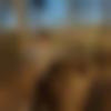 woman seeking men Dera Bassi near me photo - Joysham