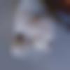 woman seeking men Bawana near me photo - Riya