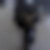 Single Male - Samar