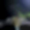 Durg Male Photo - Anshuu