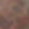 Female Photo - Silusethi