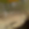Male Photo - Dubeykuldp1234