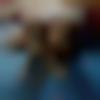 woman seeking men Hunsur near me photo - Joyeta