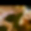 woman seeking men Palitana near me photo - Muskan