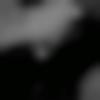 Single Female - Aayesha