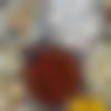 woman seeking men Andhra Pradesh photo - Deep