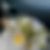 woman seeking men Pusad near me photo - Juveriya