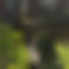 Male Photo - Abiii