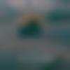 woman seeking men Gobichettipalayam near me photo - Love