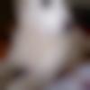 woman seeking men Shirdi near me photo - Bhumi