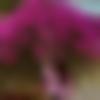woman seeking men Jamtara near me photo - Punam