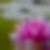 woman seeking men Ariyalur near me photo - Jaya