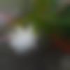 woman seeking men Ajnala near me photo - Asma