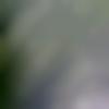 Male Photo - Himanshu