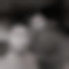 Hodal Male Photo - Amish