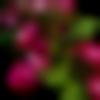 woman seeking men Ferozepur Jhirka near me photo - Samsung