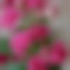 woman seeking men Dinanagar near me photo - Varsha