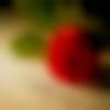 woman seeking men Jamtara near me photo - Sonay
