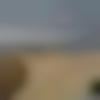 Single Male - Ronak11223
